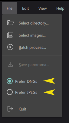 Choosing between DNG or JPEG images for panorama stitching